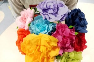 Storia-Claudiona-Social